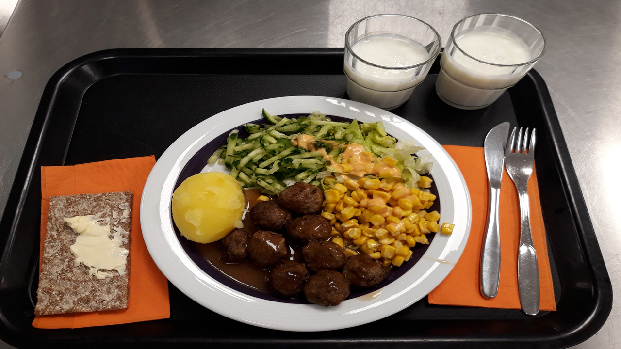 malliateria kouluruuasta