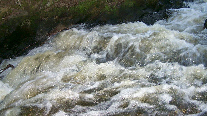 Myllykosken kuohut